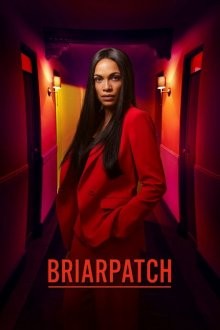 Терновый куст / Briarpatch (2019) смотреть онлайн бесплатно в отличном качестве