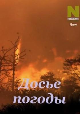 В кругах / In Circles (2016) смотреть онлайн бесплатно в отличном качестве