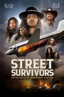 Выжившие: Подлинная история крушения самолёта группы Lynyrd Skynyrd / Street Survivors: The True Story of the Lynyrd Skynyrd Plane Crash (None) смотреть онлайн бесплатно в отличном качестве