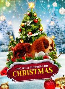 Проект: Щенки на Рождество / Project: Puppies for Christmas (2019) смотреть онлайн бесплатно в отличном качестве