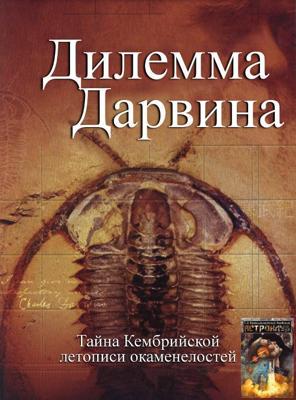 Потерянная (Perdida)  года смотреть онлайн бесплатно в отличном качестве. Постер