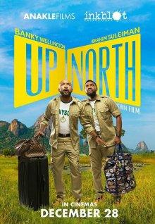 На Север / Up North (2018) смотреть онлайн бесплатно в отличном качестве