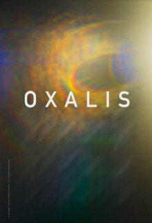 Связанные кровью (Oxalis) 2018 года смотреть онлайн бесплатно в отличном качестве. Постер