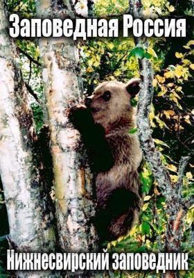 В битве за любовь