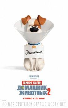 Тайная жизнь домашних животных 2 / The Secret Life of Pets 2 (2019) смотреть онлайн бесплатно в отличном качестве