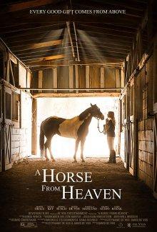 Небесный конь / A Horse from Heaven (2018) смотреть онлайн бесплатно в отличном качестве