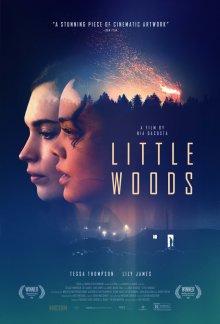 Лесок (Little Woods) 2018 года смотреть онлайн бесплатно в отличном качестве. Постер