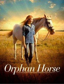 Сиротка / Orphan Horse (2018) смотреть онлайн бесплатно в отличном качестве