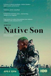 Родной сын (Native Son) 2019 года смотреть онлайн бесплатно в отличном качестве. Постер