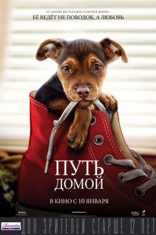 Путь домой (A Dog's Way Home) 2019 года смотреть онлайн бесплатно в отличном качестве. Постер