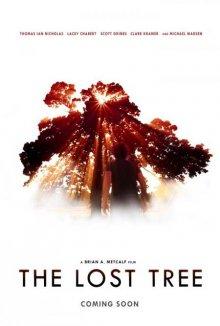 Потерянное дерево (The Lost Tree) 2016 года смотреть онлайн бесплатно в отличном качестве. Постер