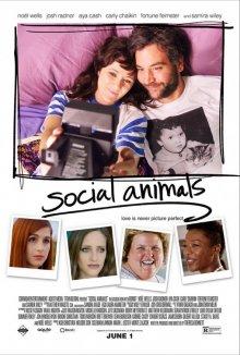 Погоня за любовью / Social Animals (2018) смотреть онлайн бесплатно в отличном качестве