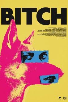 Стерва / Bitch (2017) смотреть онлайн бесплатно в отличном качестве