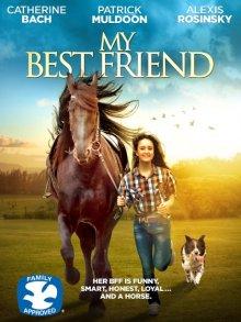 Мой лучший друг (My Best Friend) 2016 года смотреть онлайн бесплатно в отличном качестве. Постер