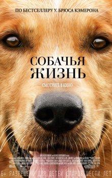 Собачья жизнь / A Dog's Purpose (2017) смотреть онлайн бесплатно в отличном качестве