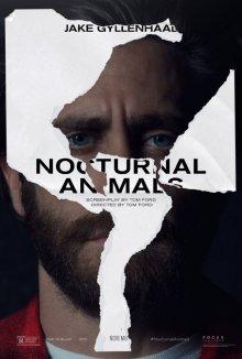 Под покровом ночи (Nocturnal Animals) 2016 года смотреть онлайн бесплатно в отличном качестве. Постер