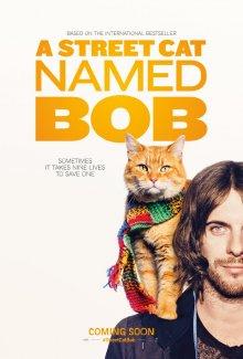 Уличный кот по кличке Боб / A Street Cat Named Bob (2016) смотреть онлайн бесплатно в отличном качестве