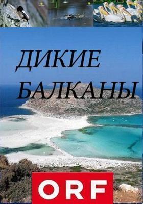 Материнский инстинкт (Her Own Justice) 2016 года смотреть онлайн бесплатно в отличном качестве. Постер