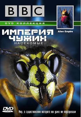 Особо упрямый (Saala Khadoos) 2016 года смотреть онлайн бесплатно в отличном качестве. Постер