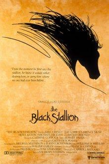 Черный скакун / The Black Stallion (1979) смотреть онлайн бесплатно в отличном качестве