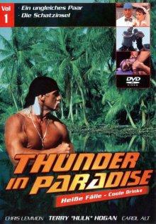 Гром в раю / Thunder in Paradise (None) смотреть онлайн бесплатно в отличном качестве