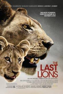 Последние львы / The Last Lions (2011) смотреть онлайн бесплатно в отличном качестве