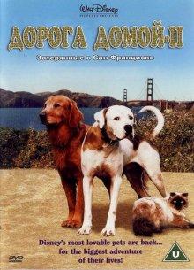 Дорога домой 2: Затерянные в Сан-Франциско (Homeward Bound II: Lost in San Francisco)  года смотреть онлайн бесплатно в отличном качестве. Постер