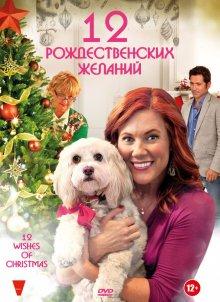 12 Рождественских желаний (12 Wishes of Christmas) 2011 года смотреть онлайн бесплатно в отличном качестве. Постер