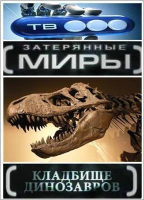 Влечение (Partir) 2009 года смотреть онлайн бесплатно в отличном качестве. Постер