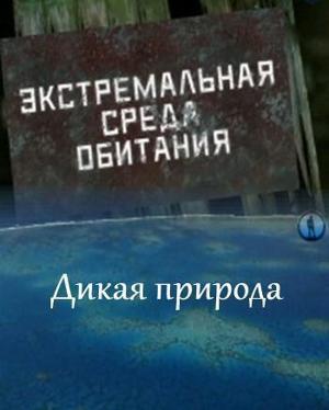 Дядя Шарль / L'oncle Charles (None) смотреть онлайн бесплатно в отличном качестве