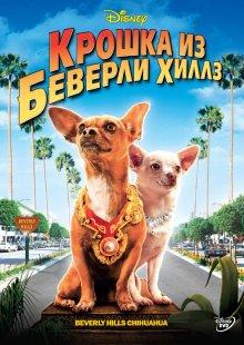 Крошка из Беверли-Хиллз / Beverly Hills Chihuahua (2008) смотреть онлайн бесплатно в отличном качестве