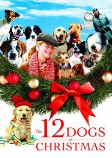 12 рождественских собак / The 12 Dogs of Christmas (2005) смотреть онлайн бесплатно в отличном качестве