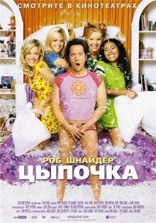 Цыпочка (The Hot Chick) 2002 года смотреть онлайн бесплатно в отличном качестве. Постер