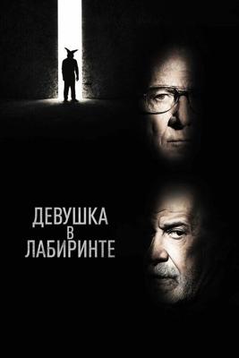 Девушка в лабиринте / L'uomo del labirinto (2019) смотреть онлайн бесплатно в отличном качестве