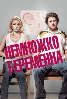 Немножко беременна / Knocked Up (2007) смотреть онлайн бесплатно в отличном качестве