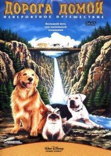 Дорога домой: Невероятное путешествие (Homeward Bound: The Incredible Journey)  года смотреть онлайн бесплатно в отличном качестве. Постер