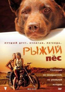 Рыжий пес / Red Dog (2011) смотреть онлайн бесплатно в отличном качестве