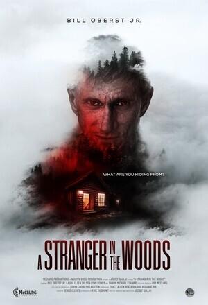 Незнакомец в лесу / A Stranger in the Woods (None) смотреть онлайн бесплатно в отличном качестве