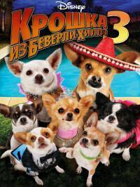 Крошка из Беверли-Хиллз 3 (Beverly Hills Chihuahua 3: Viva La Fiesta!)  года смотреть онлайн бесплатно в отличном качестве. Постер