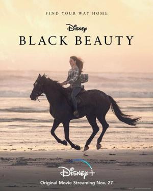 Чёрный Красавец / Black Beauty (None) смотреть онлайн бесплатно в отличном качестве