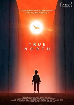 Настоящая Северная Корея / True North (None) смотреть онлайн бесплатно в отличном качестве