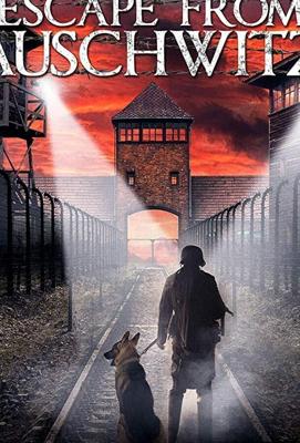 Побег из Освенцима / The Escape from Auschwitz (None) смотреть онлайн бесплатно в отличном качестве