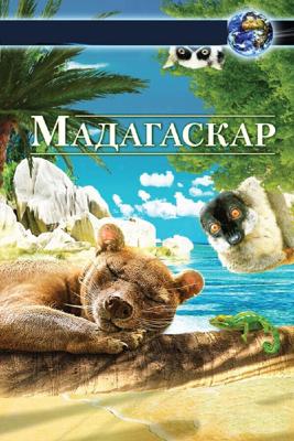 Мадагаскар 3D / Madagascar 3D (None) смотреть онлайн бесплатно в отличном качестве