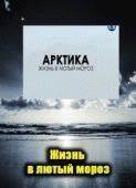 Арктика. Жизнь в лютый мороз ()  года смотреть онлайн бесплатно в отличном качестве. Постер