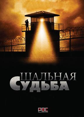 Шальная судьба /  (2015) смотреть онлайн бесплатно в отличном качестве