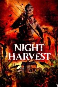 Ночной урожай / Night Harvest (2024) смотреть онлайн бесплатно в отличном качестве