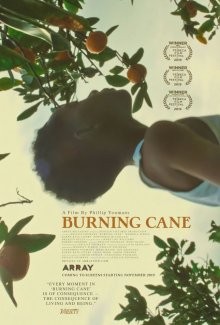 Горящий тростник / Burning Cane (2019) смотреть онлайн бесплатно в отличном качестве