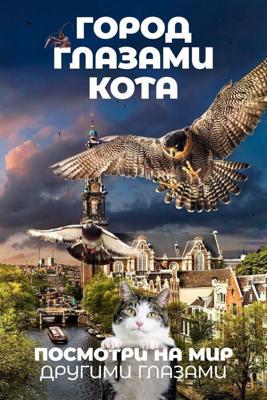 Город глазами кота (Wild Amsterdam) 2018 года смотреть онлайн бесплатно в отличном качестве. Постер