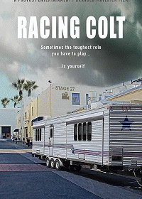 В погоне за Кольтом / Racing Colt (2018) смотреть онлайн бесплатно в отличном качестве