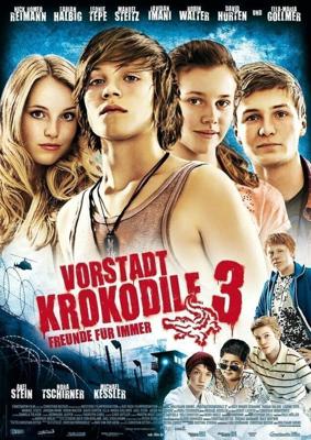 Деревенские крокодилы 3 / Vorstadtkrokodile 3 (2011) смотреть онлайн бесплатно в отличном качестве